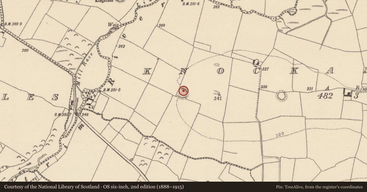 Ordnance Survey six-inch map, 2nd edition (1888–1915) covering the location of Ringfort - rath, Knockanglass (Ballymackey Par.), County Tipperary North, with a pin at the register's coordinates