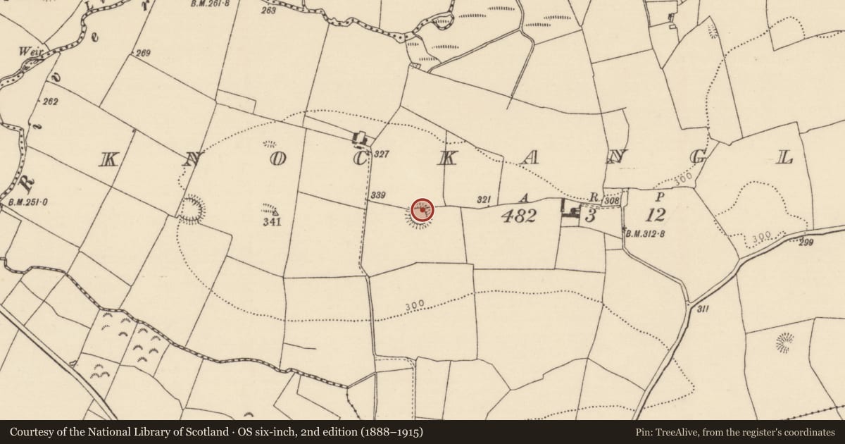 Ordnance Survey six-inch map, 2nd edition (1888–1915) covering the location of Ringfort - rath, Knockanglass (Ballymackey Par.), County Tipperary North, with a pin at the register's coordinates