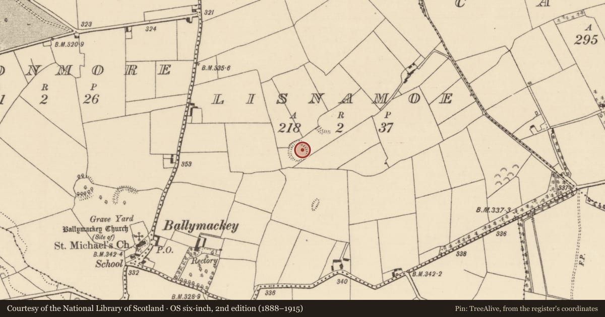 Ordnance Survey six-inch map, 2nd edition (1888–1915) covering the location of Ringfort - rath, Lisnamoe, County Tipperary North, with a pin at the register's coordinates