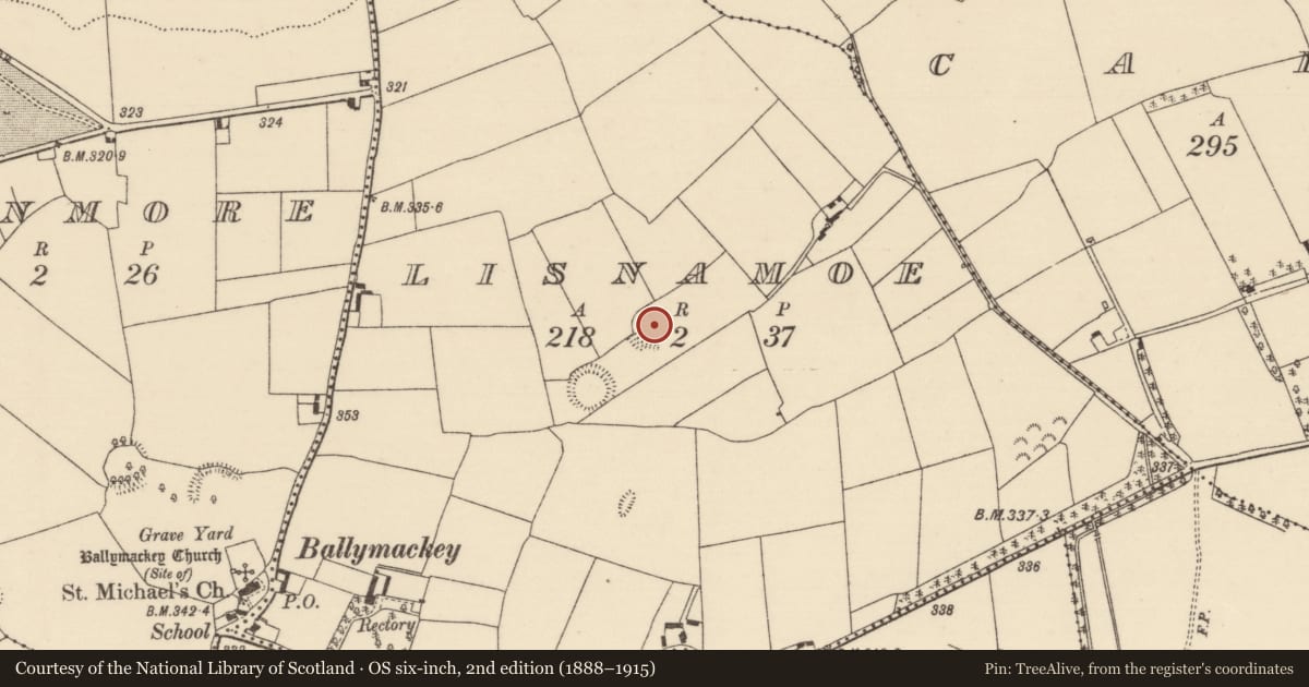 Ordnance Survey six-inch map, 2nd edition (1888–1915) covering the location of Ringfort - rath, Lisnamoe, County Tipperary North, with a pin at the register's coordinates
