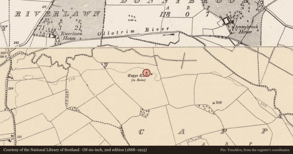 Ordnance Survey six-inch map, 2nd edition (1888–1915) covering the location of Moated site, Cappa, County Tipperary North, with a pin at the register's coordinates