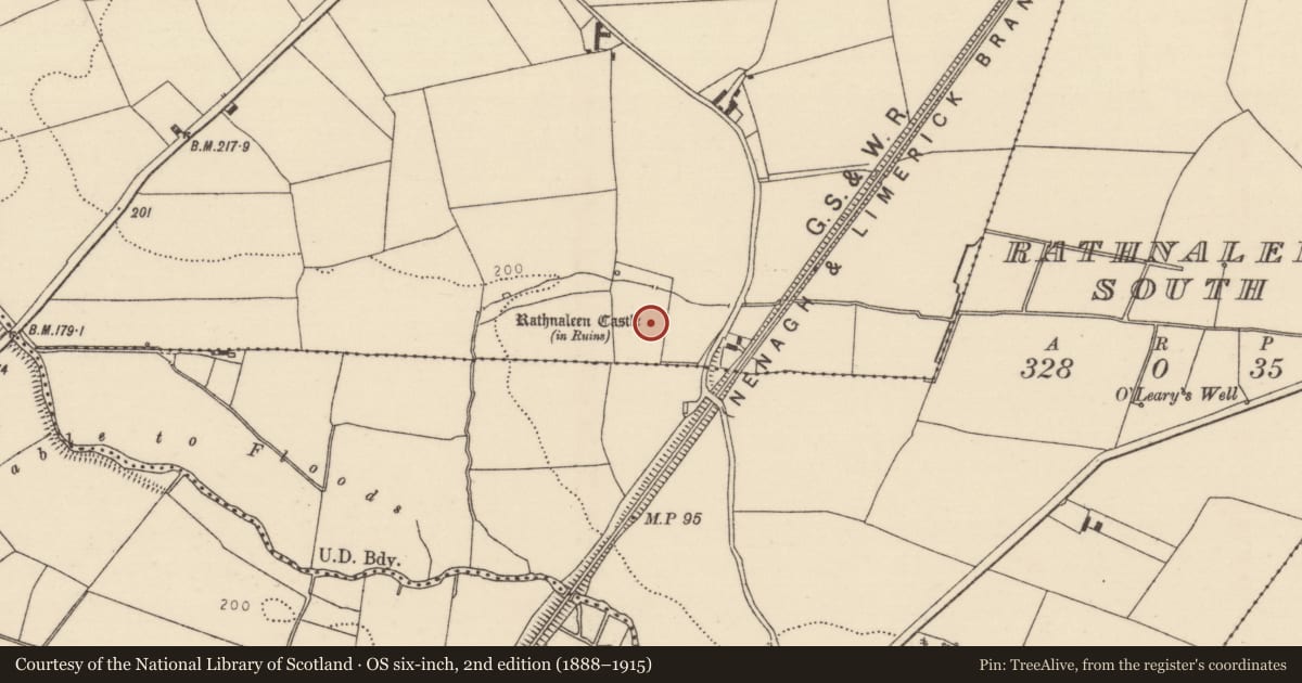 Ordnance Survey six-inch map, 2nd edition (1888–1915) covering the location of Castle - tower house, Rathnaleen North, County Tipperary North, with a pin at the register's coordinates