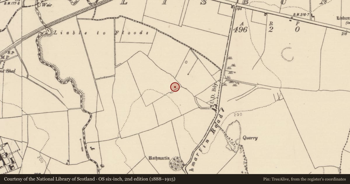 Ordnance Survey six-inch map, 2nd edition (1888–1915) covering the location of Enclosure, Tyone (Lisbunny Par.), County Tipperary North, with a pin at the register's coordinates