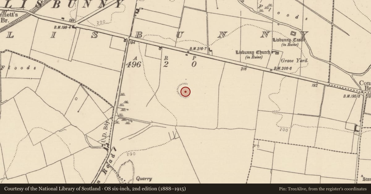 Ordnance Survey six-inch map, 2nd edition (1888–1915) covering the location of Ringfort - rath, Lisbunny, County Tipperary North, with a pin at the register's coordinates