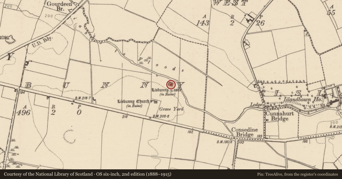 Ordnance Survey six-inch map, 2nd edition (1888–1915) covering the location of Castle - hall-house, Lisbunny, County Tipperary North, with a pin at the register's coordinates