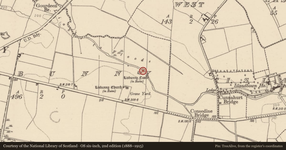 Ordnance Survey six-inch map, 2nd edition (1888–1915) covering the location of Settlement deserted - medieval, Lisbunny, County Tipperary North, with a pin at the register's coordinates