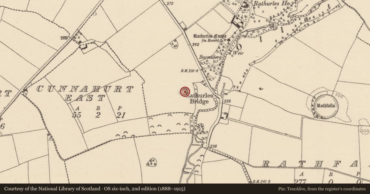 Ordnance Survey six-inch map, 2nd edition (1888–1915) covering the location of Ringfort - rath, Rathurles, County Tipperary North, with a pin at the register's coordinates