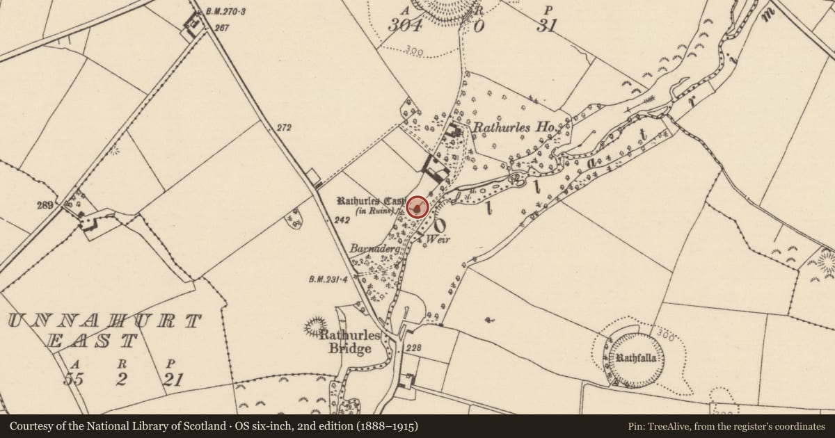 Ordnance Survey six-inch map, 2nd edition (1888–1915) covering the location of Castle - tower house, Rathurles, County Tipperary North, with a pin at the register's coordinates