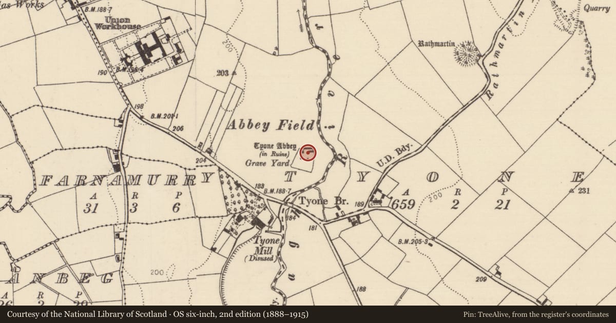 Ordnance Survey six-inch map, 2nd edition (1888–1915) covering the location of Religious house - Fratres Cruciferi, Tyone (Nenagh Par.), County Tipperary North, with a pin at the register's coordinates