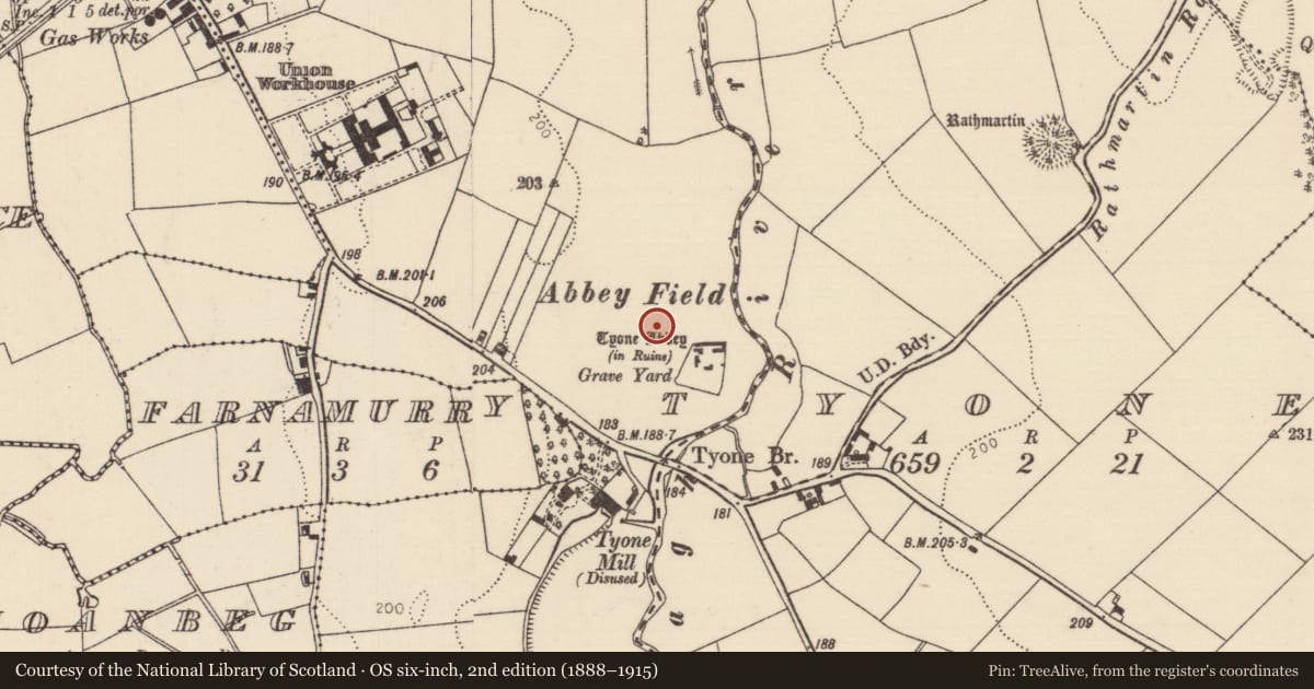 Ordnance Survey six-inch map, 2nd edition (1888–1915) covering the location of Settlement deserted - medieval, Tyone (Nenagh Par.), County Tipperary North, with a pin at the register's coordinates