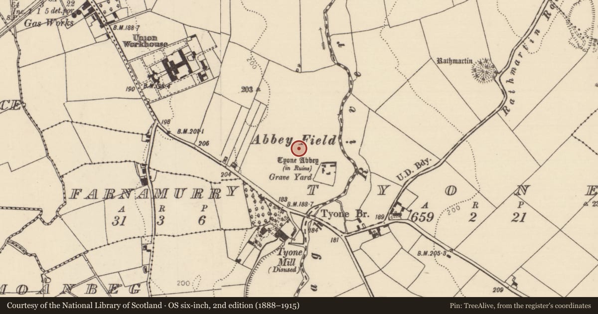 Ordnance Survey six-inch map, 2nd edition (1888–1915) covering the location of Ringfort - rath, Tyone (Nenagh Par.), County Tipperary North, with a pin at the register's coordinates