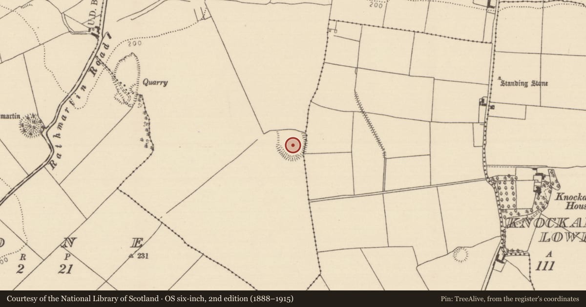 Ordnance Survey six-inch map, 2nd edition (1888–1915) covering the location of Ringfort - rath, Lisbunny, County Tipperary North, with a pin at the register's coordinates