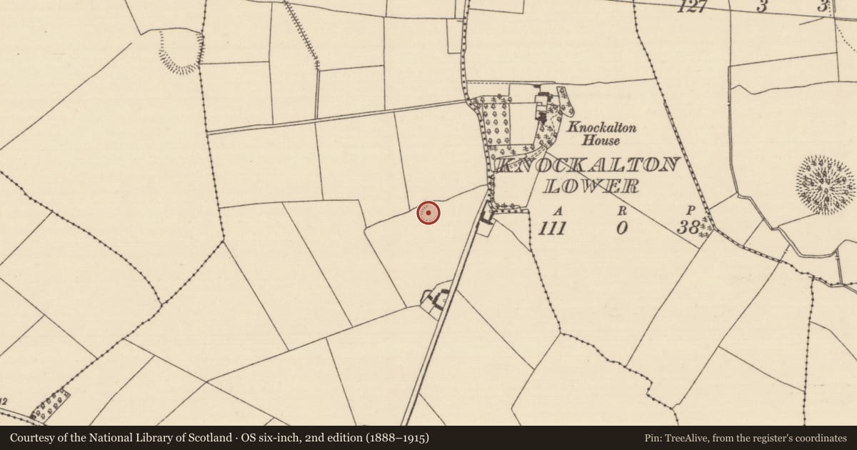 Ordnance Survey six-inch map, 2nd edition (1888–1915) covering the location of Ringfort - rath, Knockalton Upper, County Tipperary North, with a pin at the register's coordinates