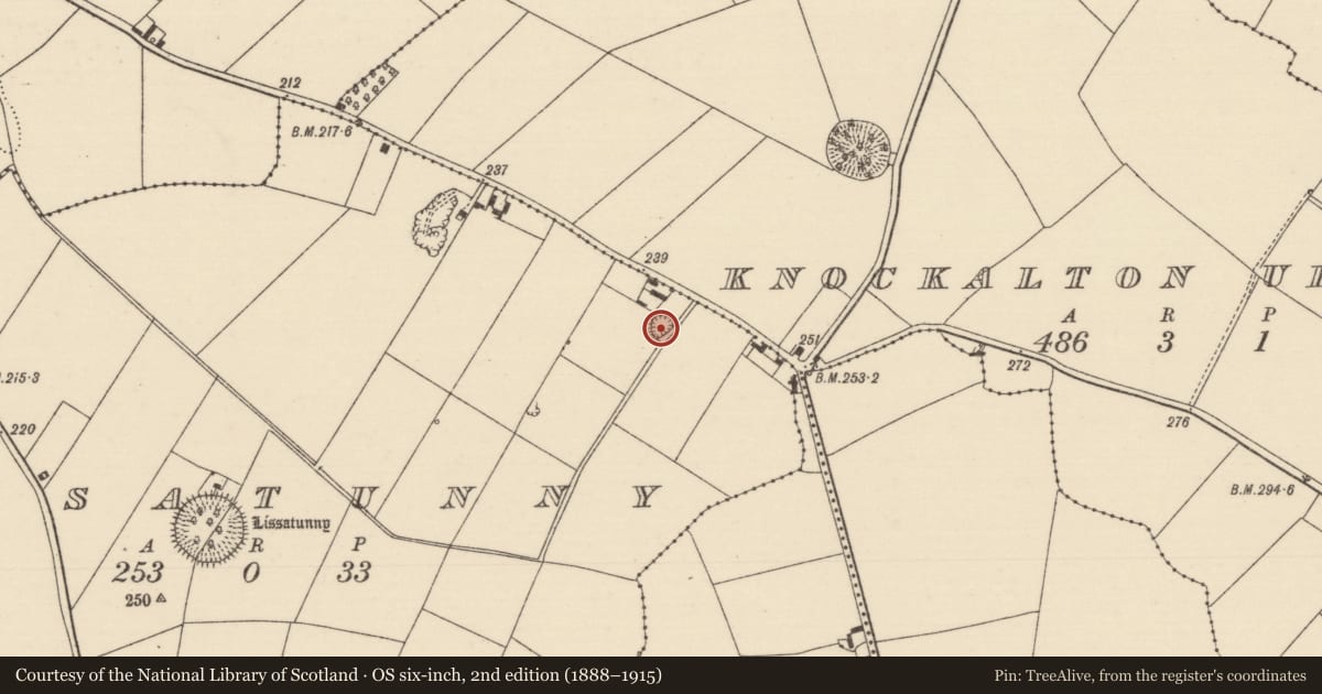 Ordnance Survey six-inch map, 2nd edition (1888–1915) covering the location of Ringfort - rath, Lissatunny, County Tipperary North, with a pin at the register's coordinates