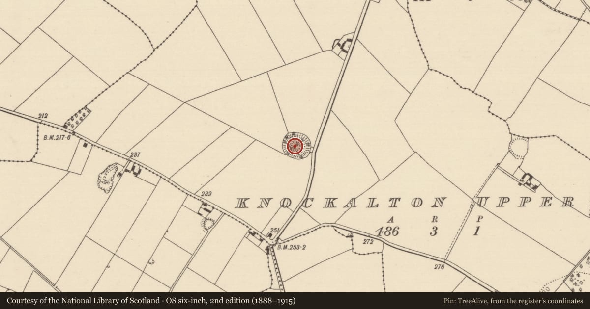 Ordnance Survey six-inch map, 2nd edition (1888–1915) covering the location of Ringfort - rath, Knockalton Upper, County Tipperary North, with a pin at the register's coordinates