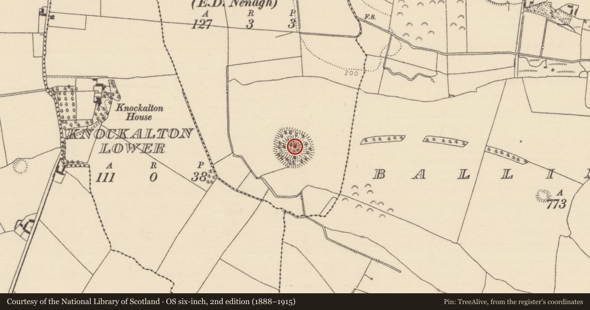 Ordnance Survey six-inch map, 2nd edition (1888–1915) covering the location of Ringfort - rath, Curraheen (Lisbunny Par.), County Tipperary North, with a pin at the register's coordinates
