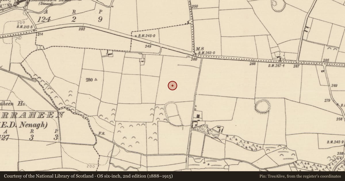 Ordnance Survey six-inch map, 2nd edition (1888–1915) covering the location of Enclosure, Ballintotty, County Tipperary North, with a pin at the register's coordinates