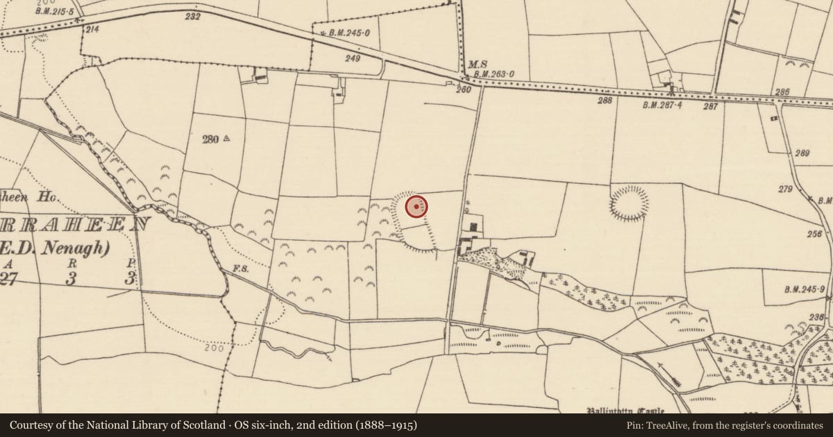 Ordnance Survey six-inch map, 2nd edition (1888–1915) covering the location of Enclosure, Ballintotty, County Tipperary North, with a pin at the register's coordinates