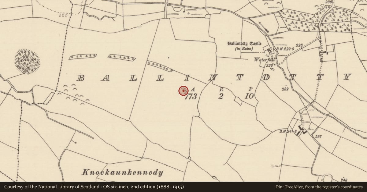 Ordnance Survey six-inch map, 2nd edition (1888–1915) covering the location of Enclosure, Ballintotty, County Tipperary North, with a pin at the register's coordinates