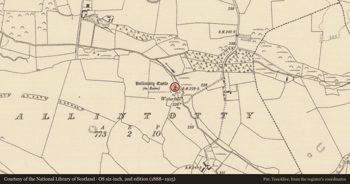 Ordnance Survey six-inch map, 2nd edition (1888–1915) covering the location of Settlement deserted - medieval, Ballintotty, County Tipperary North, with a pin at the register's coordinates