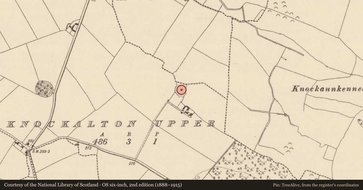 Ordnance Survey six-inch map, 2nd edition (1888–1915) covering the location of Ringfort - rath, Knockalton Upper, County Tipperary North, with a pin at the register's coordinates