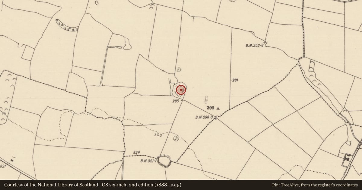 Ordnance Survey six-inch map, 2nd edition (1888–1915) covering the location of Ringfort - rath, Ballintotty, County Tipperary North, with a pin at the register's coordinates
