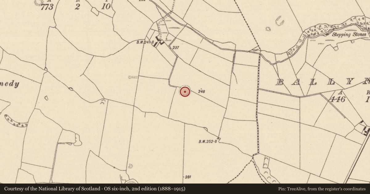 Ordnance Survey six-inch map, 2nd edition (1888–1915) covering the location of Ringfort - rath, Ballintotty, County Tipperary North, with a pin at the register's coordinates