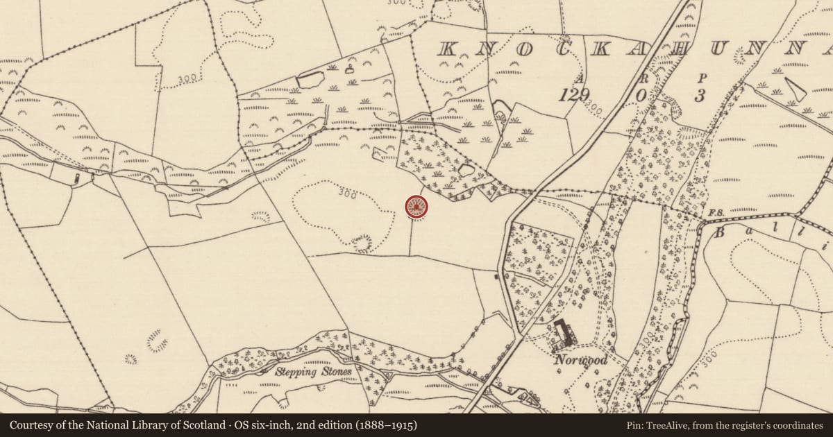 Ordnance Survey six-inch map, 2nd edition (1888–1915) covering the location of Ringfort - rath, Ballynalick, County Tipperary North, with a pin at the register's coordinates