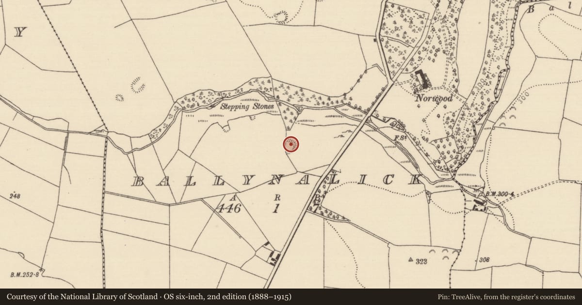 Ordnance Survey six-inch map, 2nd edition (1888–1915) covering the location of Enclosure, Ballynalick, County Tipperary North, with a pin at the register's coordinates