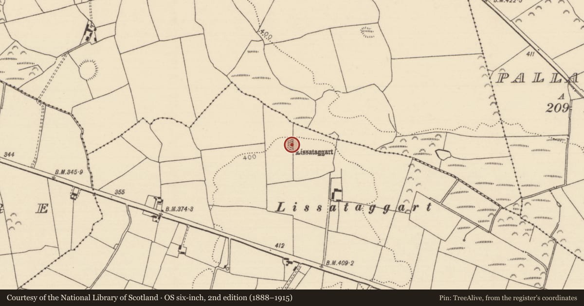 Ordnance Survey six-inch map, 2nd edition (1888–1915) covering the location of Ringfort - rath, Clonalea, County Tipperary North, with a pin at the register's coordinates