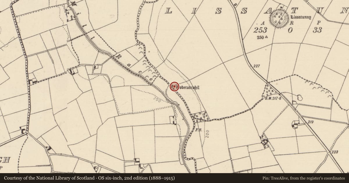 Ordnance Survey six-inch map, 2nd edition (1888–1915) covering the location of Ritual site - holy well, Lissatunny, County Tipperary North, with a pin at the register's coordinates