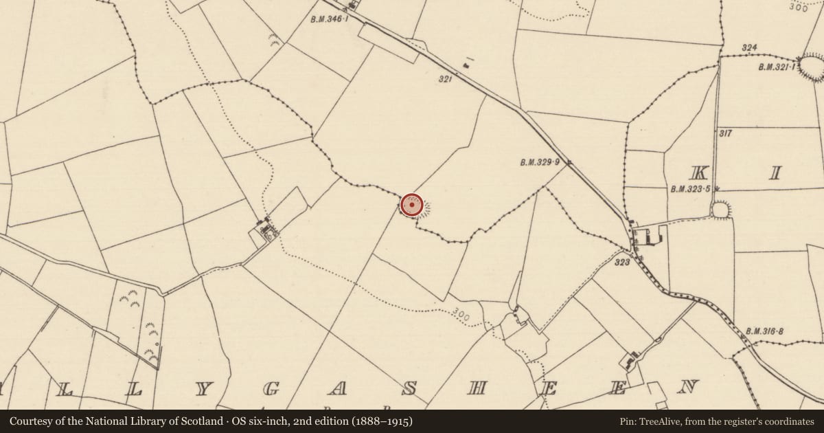 Ordnance Survey six-inch map, 2nd edition (1888–1915) covering the location of Ringfort - rath, Ballygasheen, Knockalton Upper, County Tipperary North, with a pin at the register's coordinates