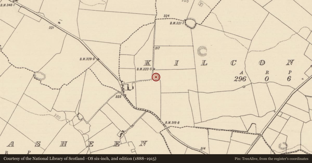 Ordnance Survey six-inch map, 2nd edition (1888–1915) covering the location of Ringfort - rath, Kilconane, County Tipperary North, with a pin at the register's coordinates