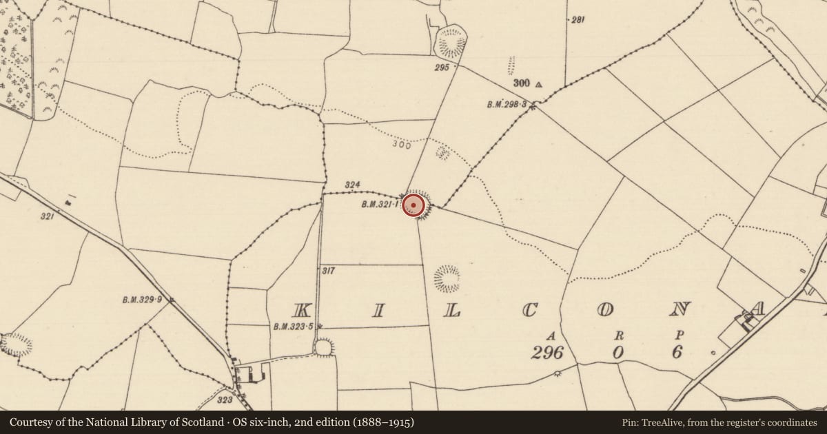 Ordnance Survey six-inch map, 2nd edition (1888–1915) covering the location of Ringfort - rath, Ballintotty, Kilconane, County Tipperary North, with a pin at the register's coordinates