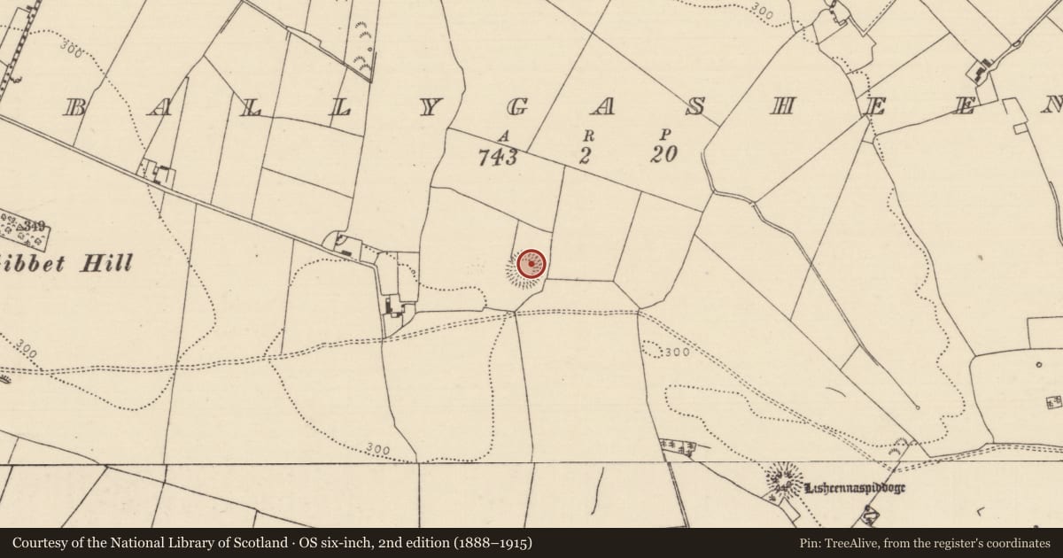 Ordnance Survey six-inch map, 2nd edition (1888–1915) covering the location of Ringfort - rath, Ballygasheen, County Tipperary North, with a pin at the register's coordinates
