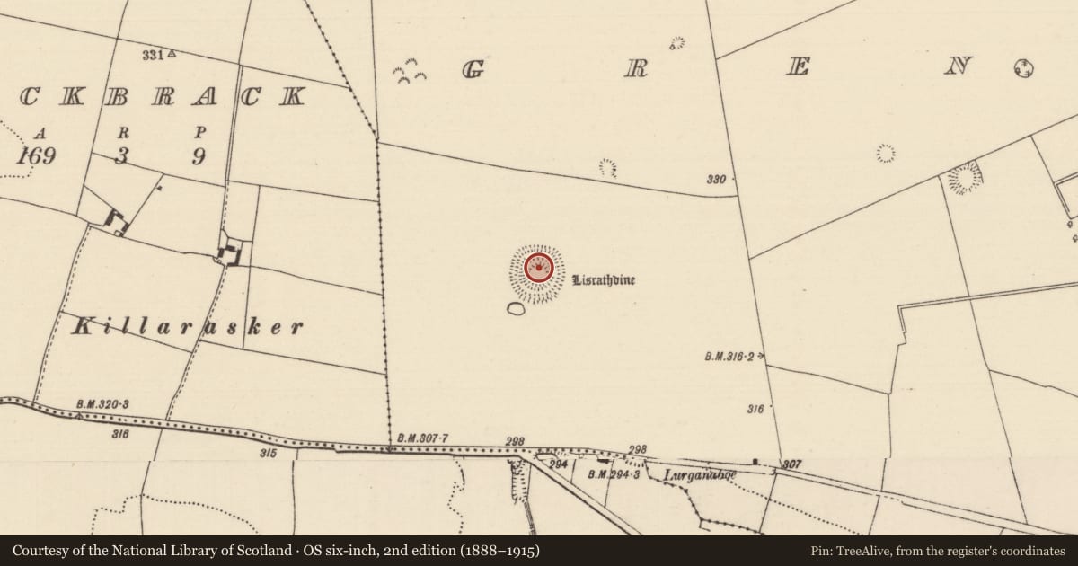 Ordnance Survey six-inch map, 2nd edition (1888–1915) covering the location of Ringfort - rath, Grenanstown (Kilkeary Par.), County Tipperary North, with a pin at the register's coordinates