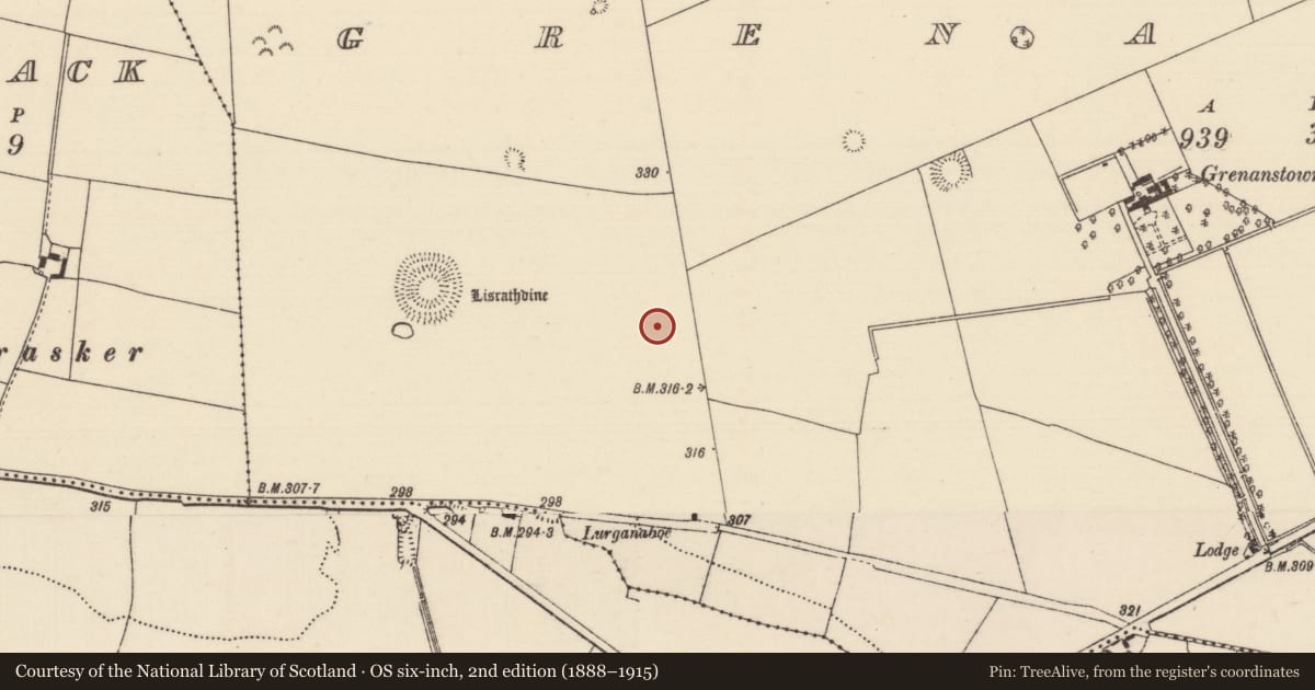 Ordnance Survey six-inch map, 2nd edition (1888–1915) covering the location of Enclosure, Grenanstown (Kilkeary Par.), County Tipperary North, with a pin at the register's coordinates