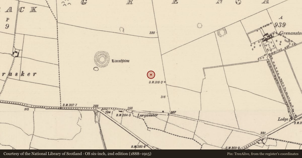 Ordnance Survey six-inch map, 2nd edition (1888–1915) covering the location of Enclosure, Grenanstown (Kilkeary Par.), County Tipperary North, with a pin at the register's coordinates