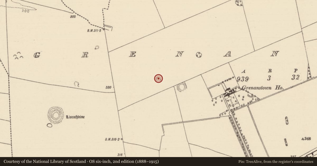 Ordnance Survey six-inch map, 2nd edition (1888–1915) covering the location of Ringfort - rath, Grenanstown (Ballymackey Par.), County Tipperary North, with a pin at the register's coordinates
