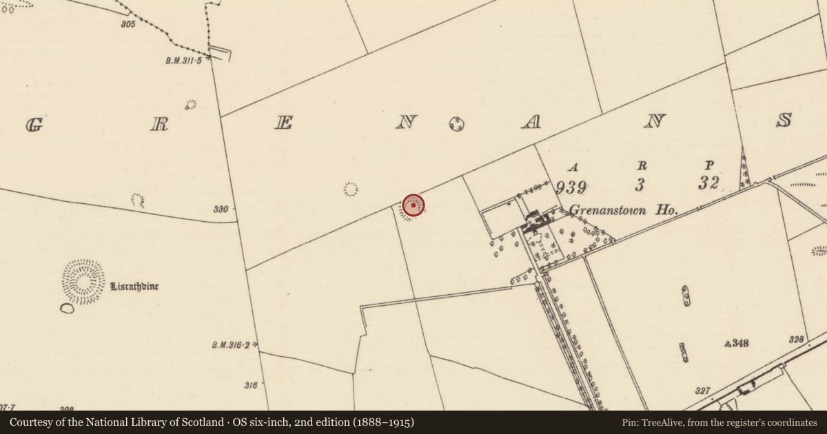 Ordnance Survey six-inch map, 2nd edition (1888–1915) covering the location of Ringfort - rath, Grenanstown (Ballymackey Par.), County Tipperary North, with a pin at the register's coordinates