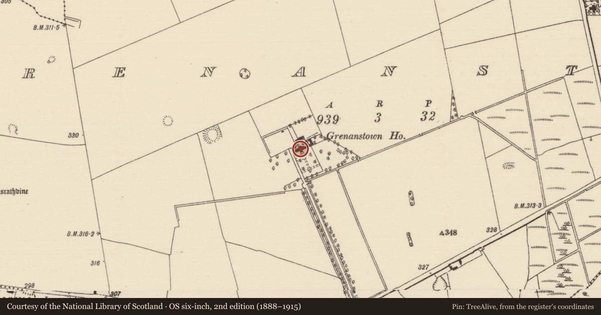 Ordnance Survey six-inch map, 2nd edition (1888–1915) covering the location of Castle - unclassified, Grenanstown (Ballymackey Par.), County Tipperary North, with a pin at the register's coordinates