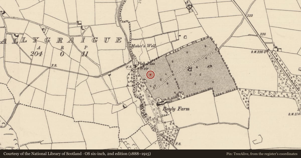 Ordnance Survey six-inch map, 2nd edition (1888–1915) covering the location of Enclosure, Ballynaclogh, County Tipperary North, with a pin at the register's coordinates
