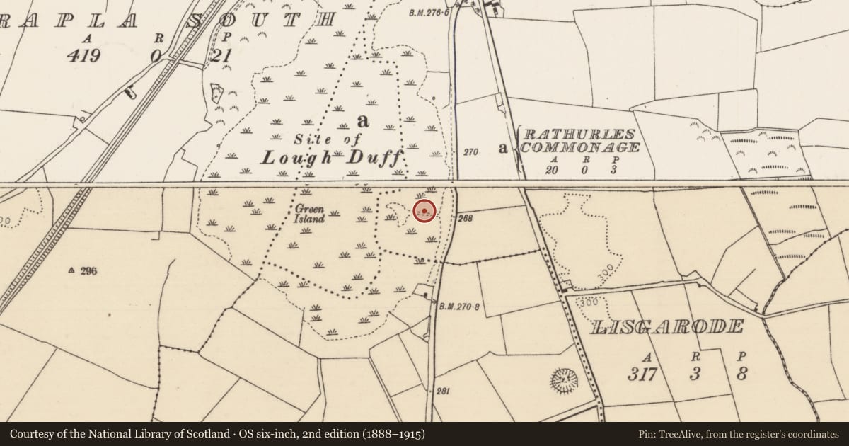 Ordnance Survey six-inch map, 2nd edition (1888–1915) covering the location of Causeway, Lisgarode, County Tipperary North, with a pin at the register's coordinates