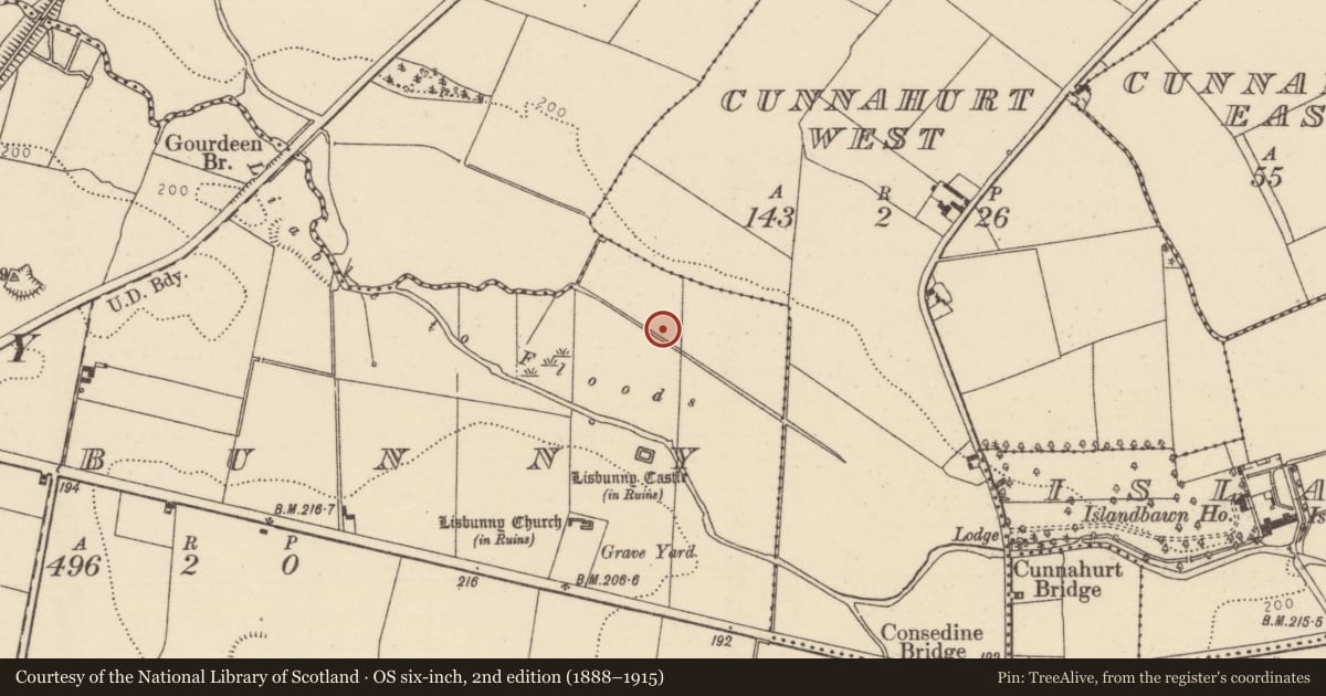 Ordnance Survey six-inch map, 2nd edition (1888–1915) covering the location of Water mill - unclassified, Lisbunny, Rathnaleen South, County Tipperary North, with a pin at the register's coordinates