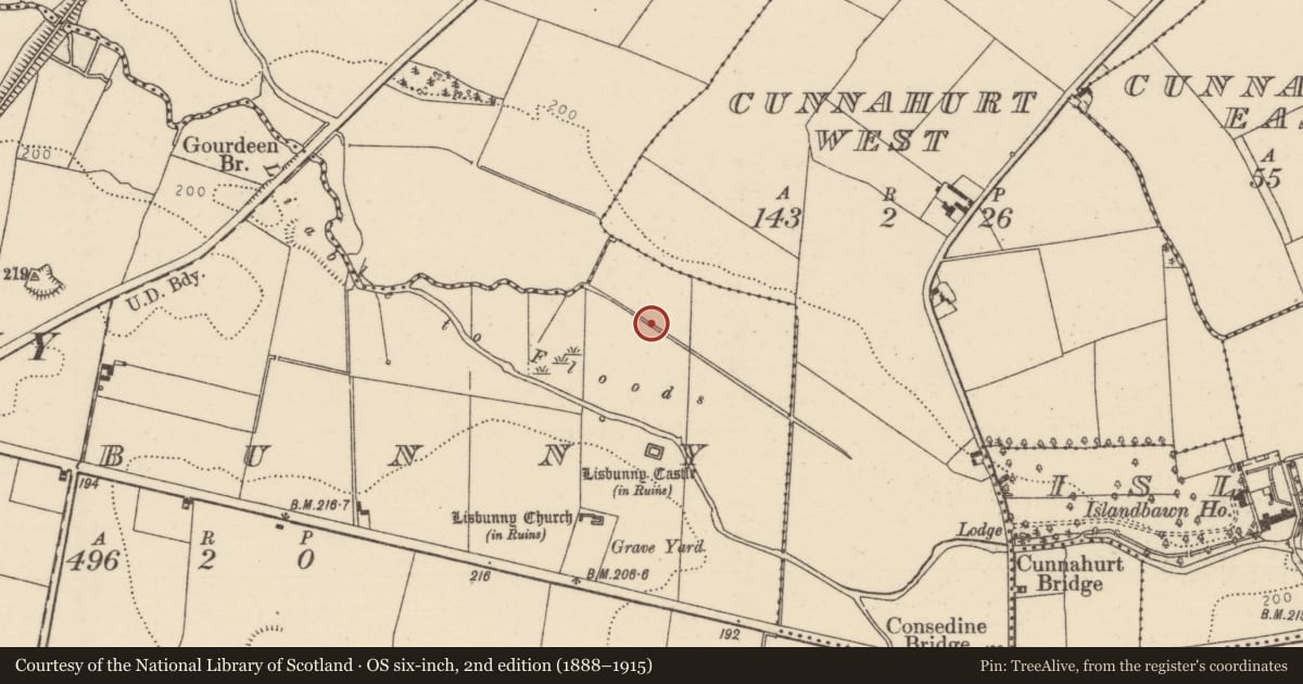 Ordnance Survey six-inch map, 2nd edition (1888–1915) covering the location of Mill - unclassified, Lisbunny, Rathnaleen South, County Tipperary North, with a pin at the register's coordinates
