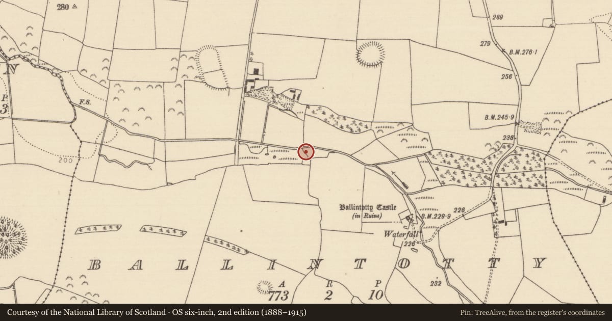 Ordnance Survey six-inch map, 2nd edition (1888–1915) covering the location of House - indeterminate date, Ballintotty, County Tipperary North, with a pin at the register's coordinates