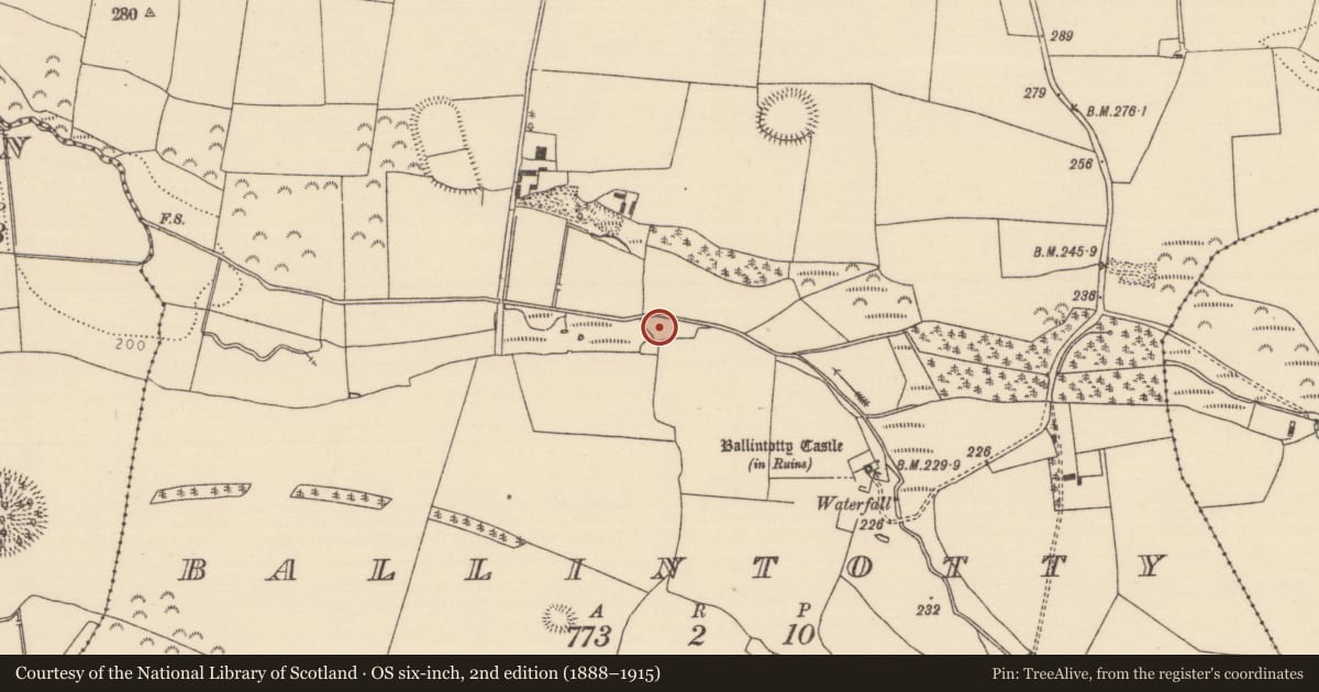 Ordnance Survey six-inch map, 2nd edition (1888–1915) covering the location of Enclosure, Ballintotty, County Tipperary North, with a pin at the register's coordinates