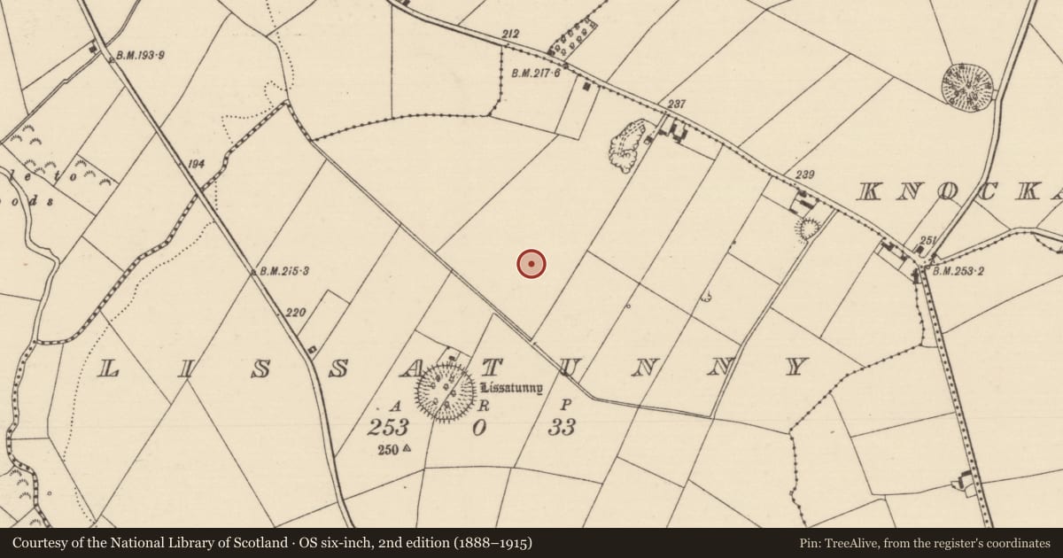 Ordnance Survey six-inch map, 2nd edition (1888–1915) covering the location of House - indeterminate date, Lissatunny, County Tipperary North, with a pin at the register's coordinates