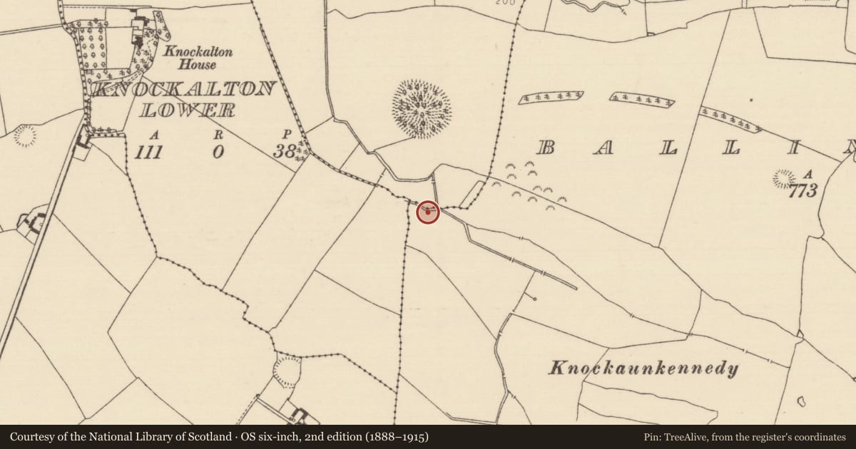 Ordnance Survey six-inch map, 2nd edition (1888–1915) covering the location of Fulacht fia, Ballintotty, County Tipperary North, with a pin at the register's coordinates