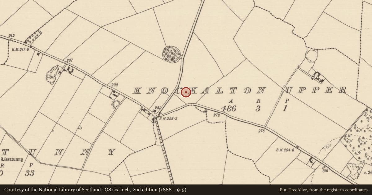 Ordnance Survey six-inch map, 2nd edition (1888–1915) covering the location of Habitation site, Knockalton Upper, County Tipperary North, with a pin at the register's coordinates